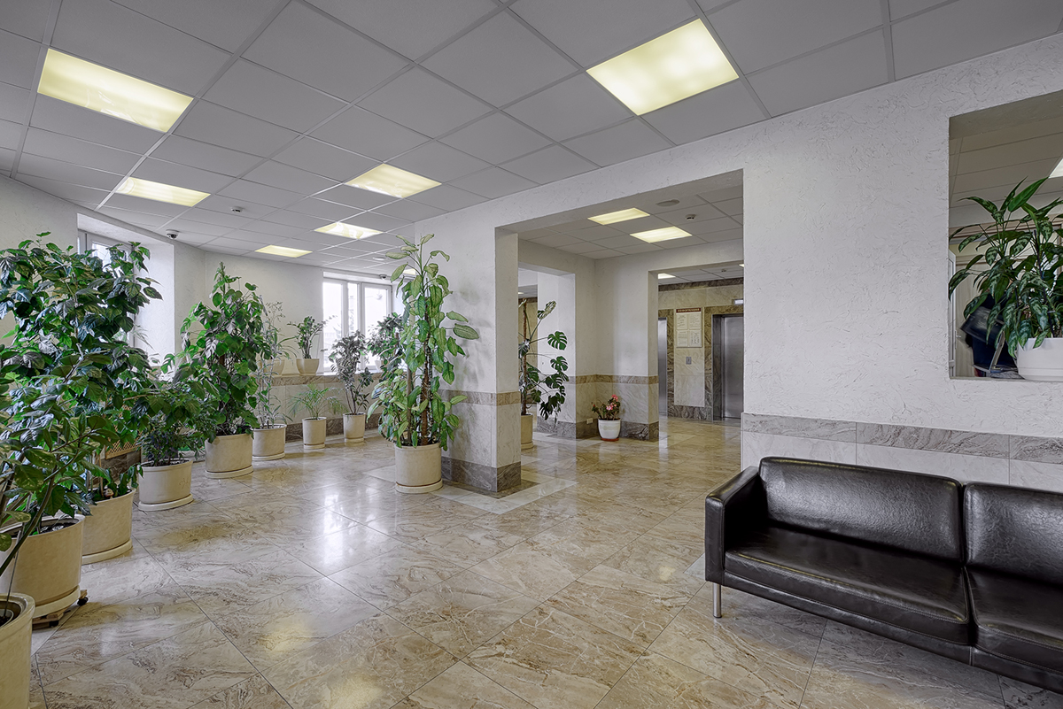растения в лобби жилого дома