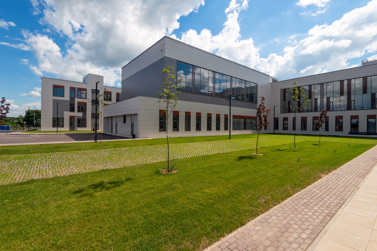 озеленение территории школы