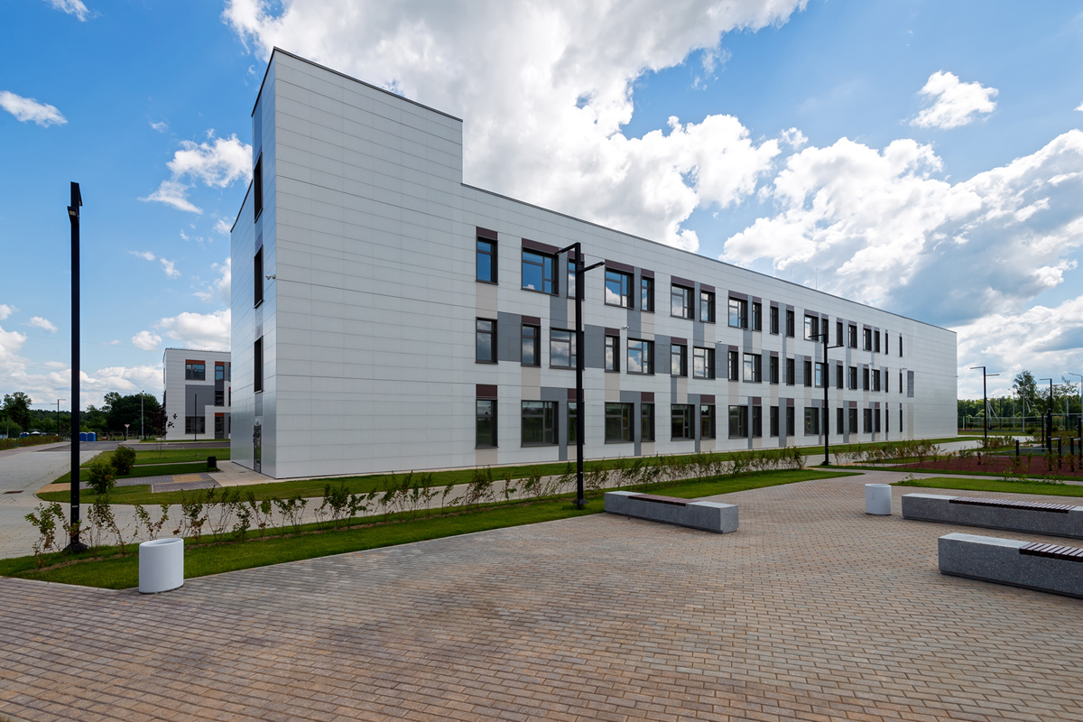 кусты и газон на территории школы