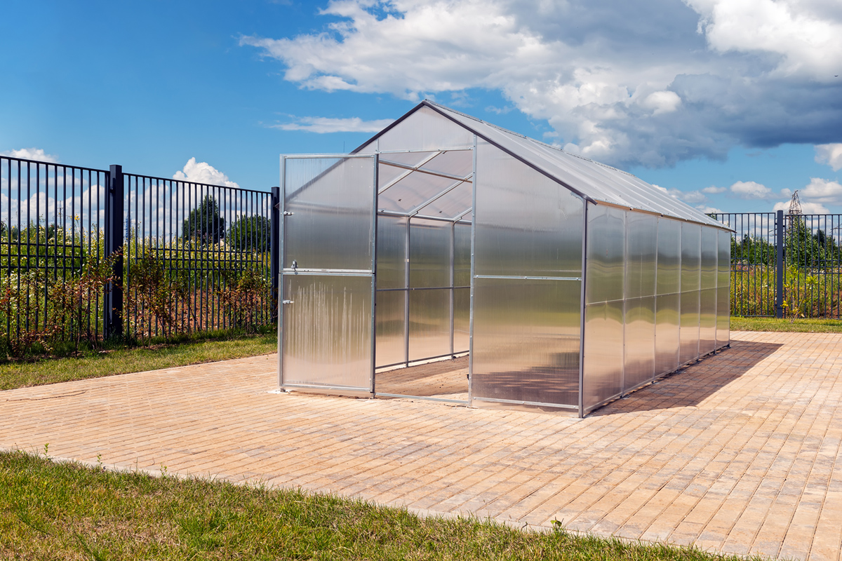 парник на территории школы