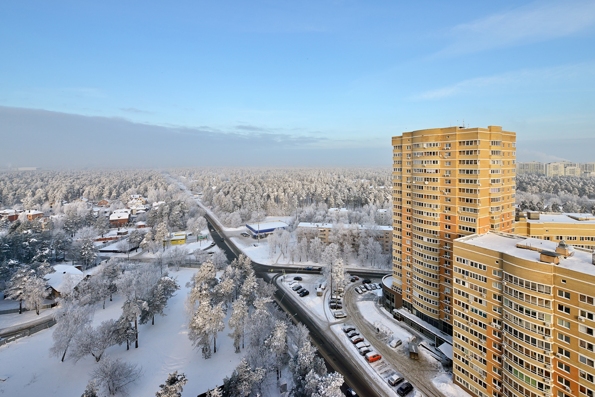 зима в Подмосковье