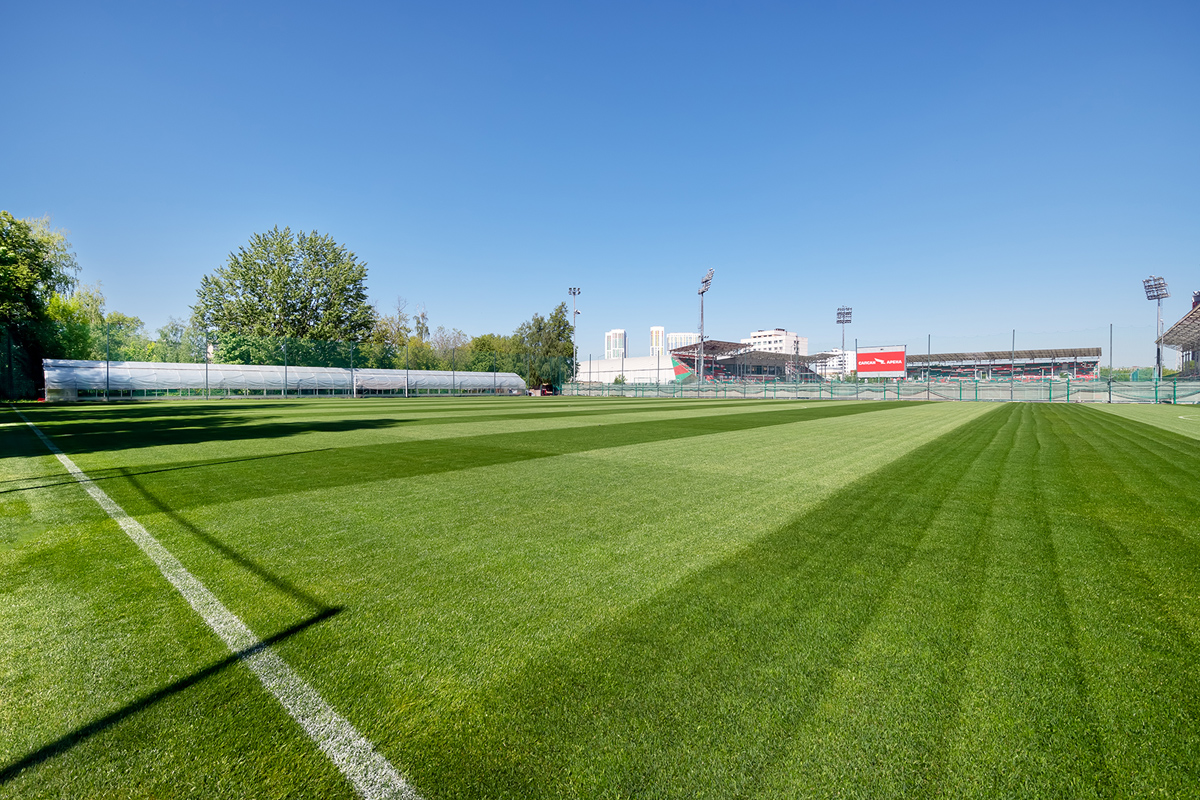 трава на футбольном поле